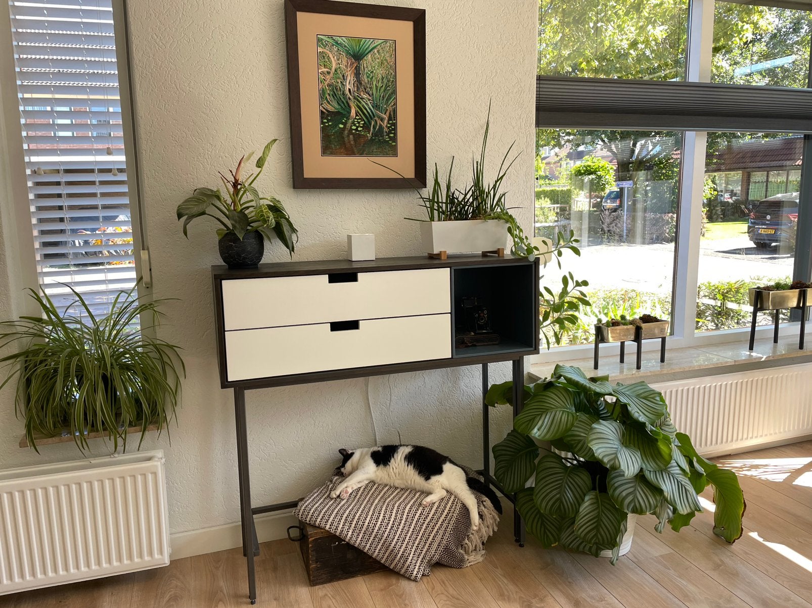Kattenoppas in Putten €75,- per week, Particuliere oppas