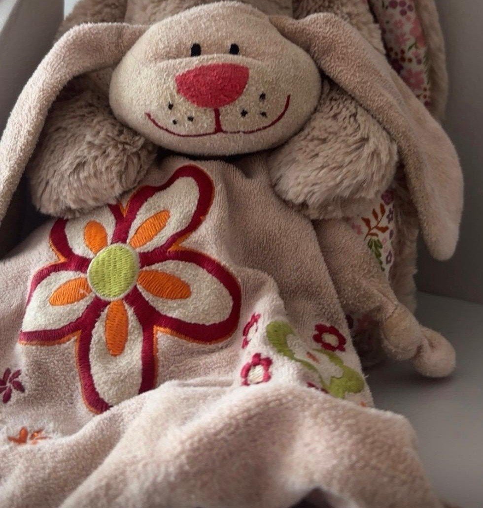 Gezocht: knuffel prenatal roze konijn, Ophalen of Verzenden, Zo goed als nieuw, Konijn