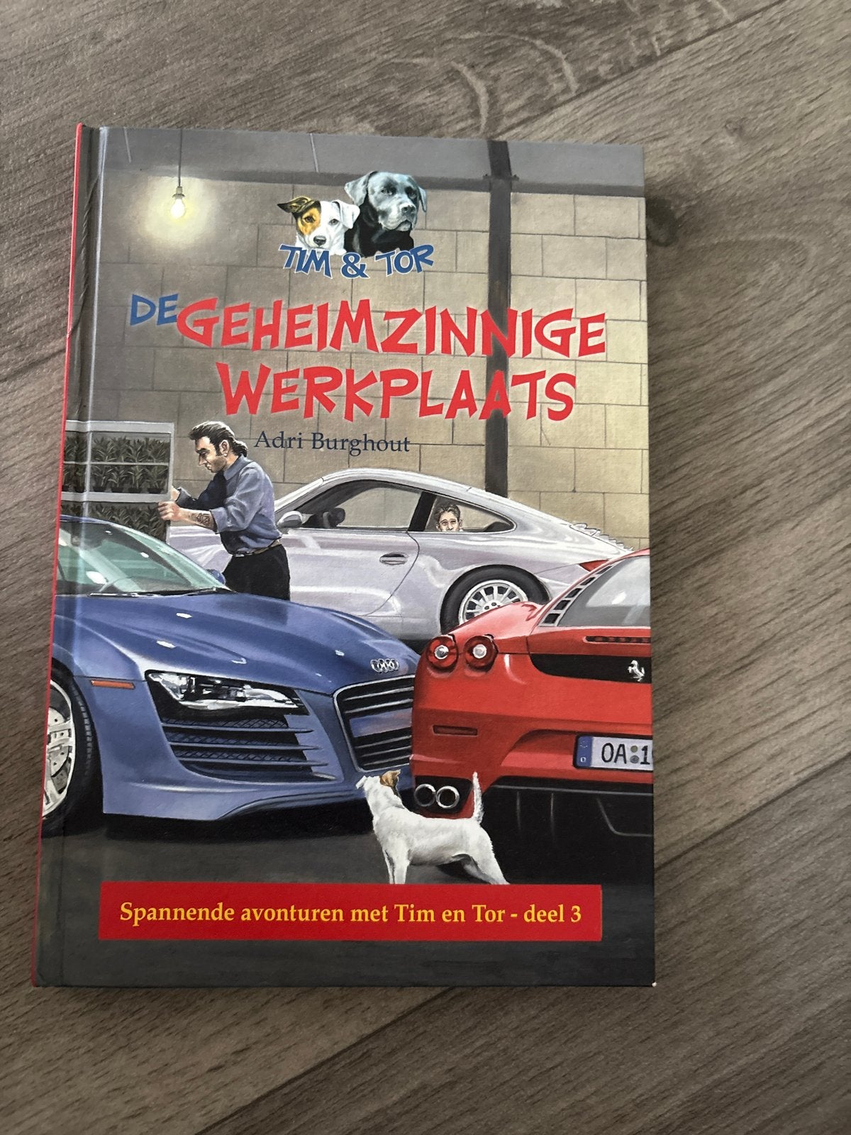 Tim & Tor: De Geheimzinnige Werkplaats (deel 3), Ophalen of Verzenden, Zo goed als nieuw