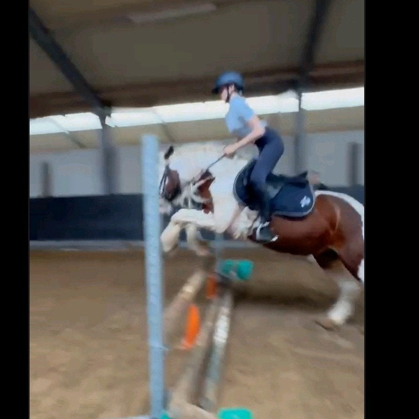 verzorg paard gezocht bijrijder aangeboden, 33 - 40 uur, Overige vormen