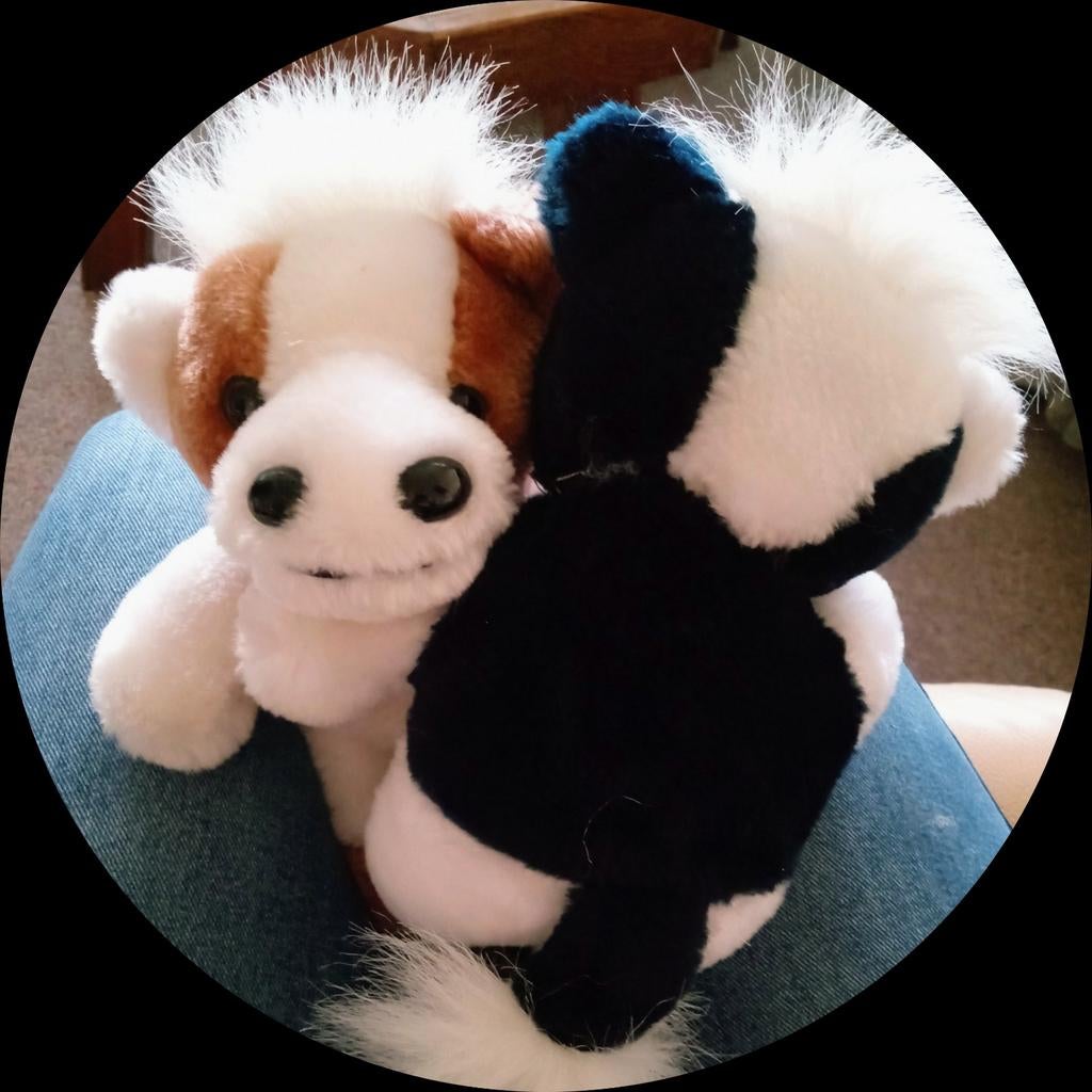 Schattige knuffels  zijn op zoek naar jou, Kinderen en Baby's, Speelgoed | Knuffels en Pluche, Ophalen, Zo goed als nieuw, Klein (minder dan 20 cm)