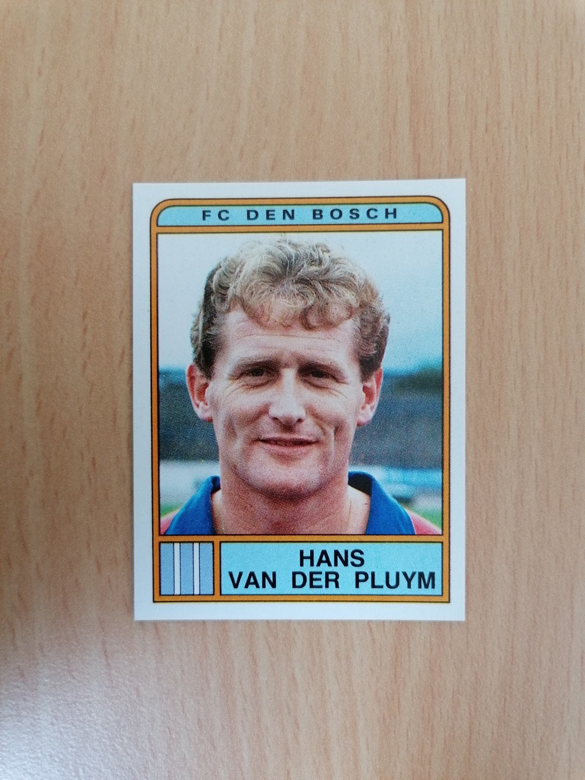 Panini Voetbal 84 #42 Hans van der Pluym-FC Den Bosch., Ophalen of Verzenden, Zo goed als nieuw, Overige binnenlandse clubs, Poster, Plaatje of Sticker