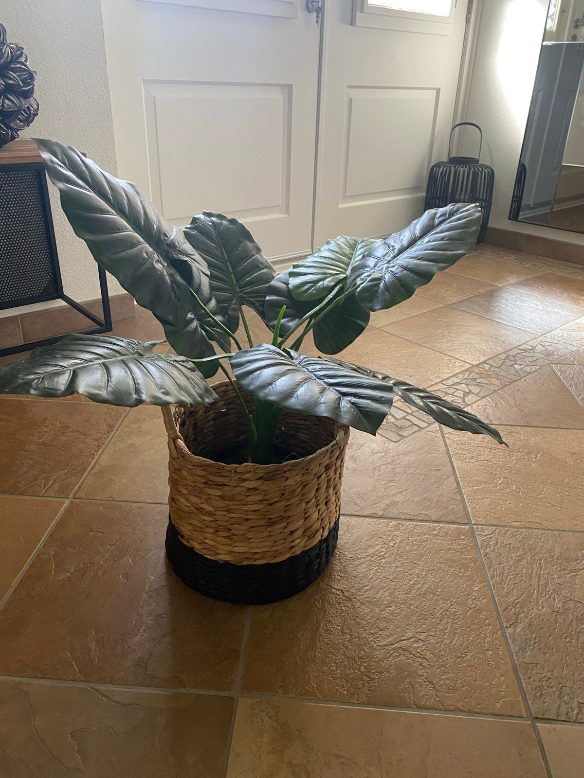 Grote kunstplant met rieten mand - Alocasia look, Ophalen, Binnen, Groen, Kunstplant