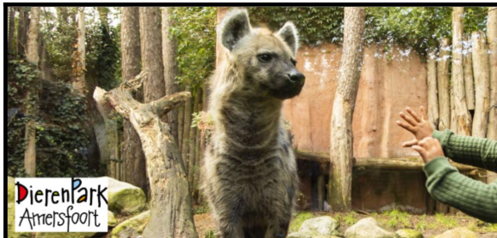 DierenPark Amersfoort, e tickets, Tickets en Kaartjes, Twee personen, Ticket of Toegangskaart