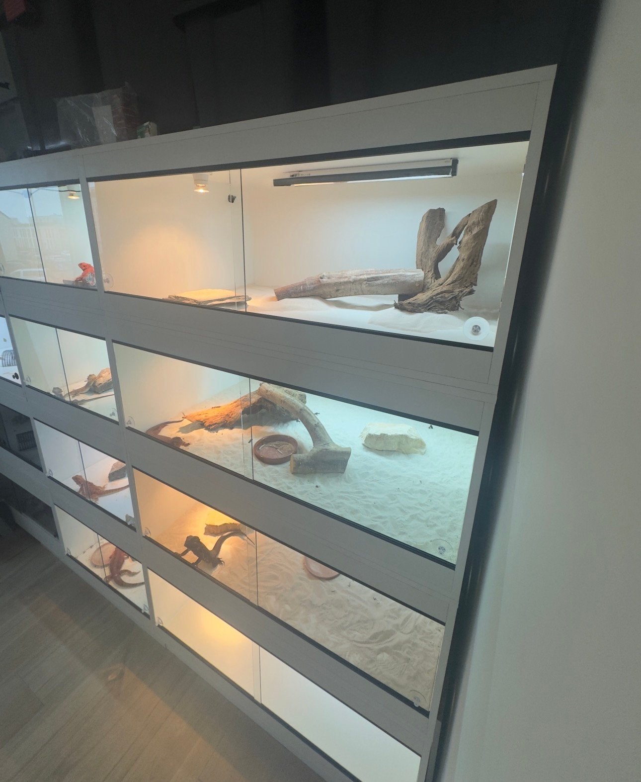 Terrarium’s, Dieren en Toebehoren, Reptielen en Amfibieën | Toebehoren, Ophalen, Zo goed als nieuw