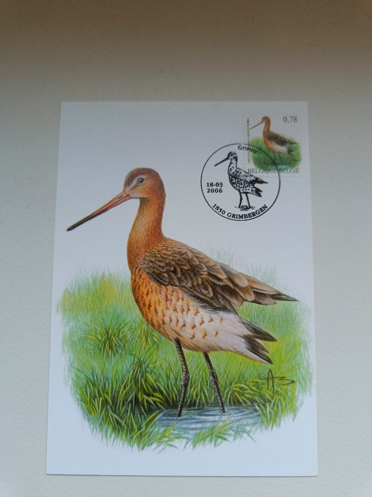 buzin, Postzegels en Munten, Verzenden, Gestempeld, Gestempeld