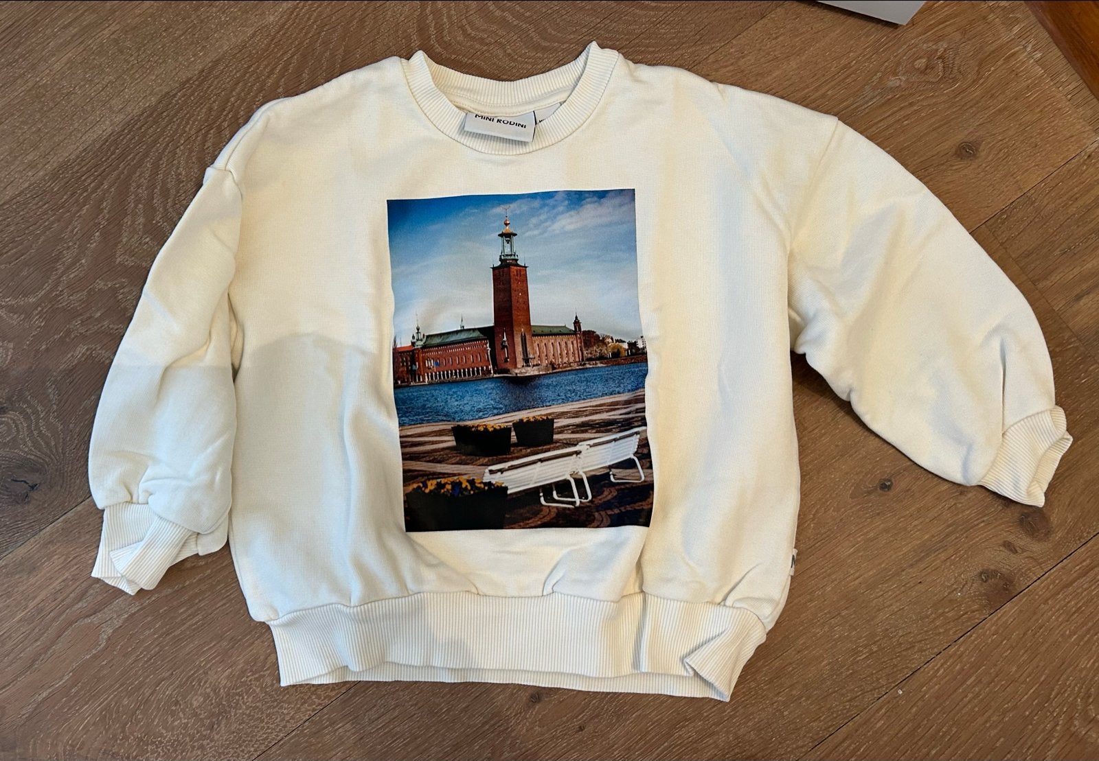 Mini Rodini sweater met venetie print, Ophalen of Verzenden, Zo goed als nieuw, Jongen of Meisje, Trui of Vest