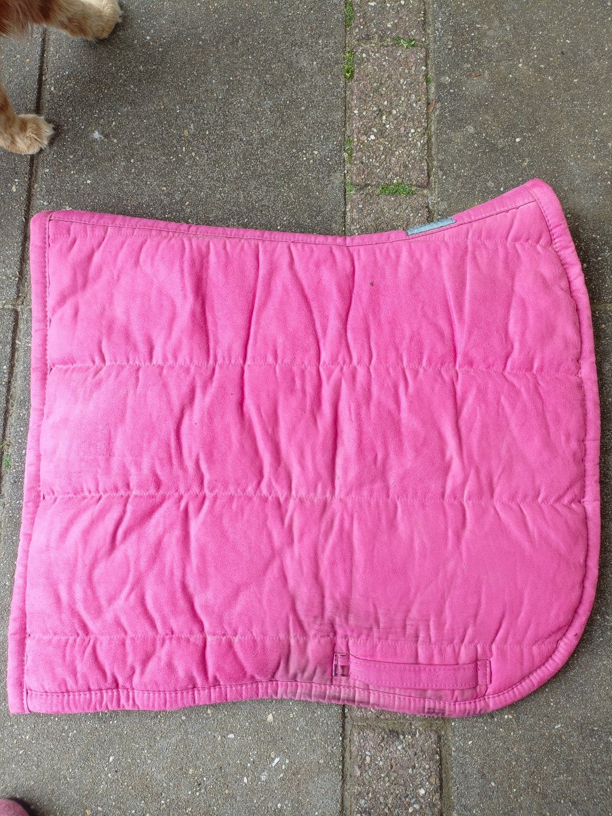 2x dressuur pad ANKY en QHP, Ophalen, Gebruikt