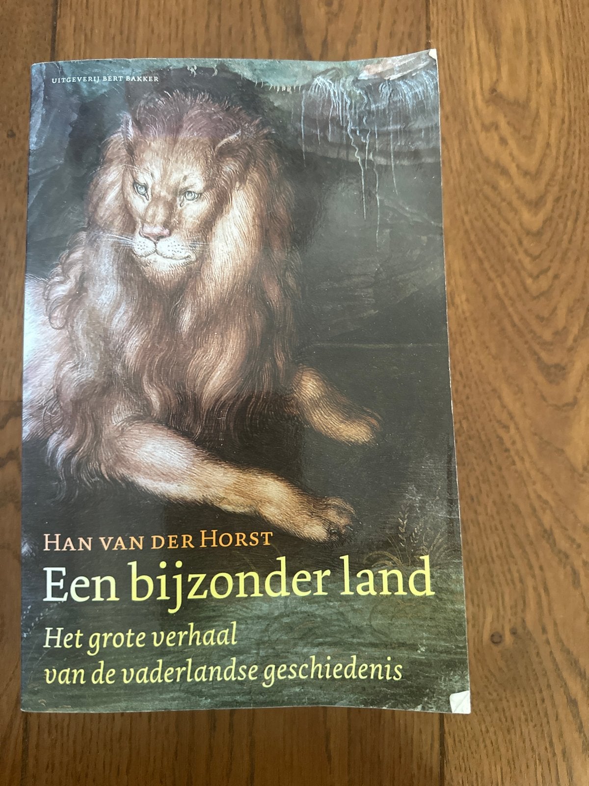 Een Bijzonder Land - Han van der Horst (Geschiedenis), Ophalen of Verzenden, 20e eeuw of later, Gelezen
