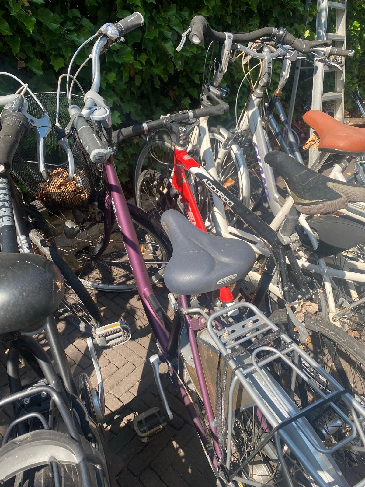 Diverse fietsen te koop - Gebruikt, Overige merken, Velgrem, Versnellingen, Ophalen of Verzenden