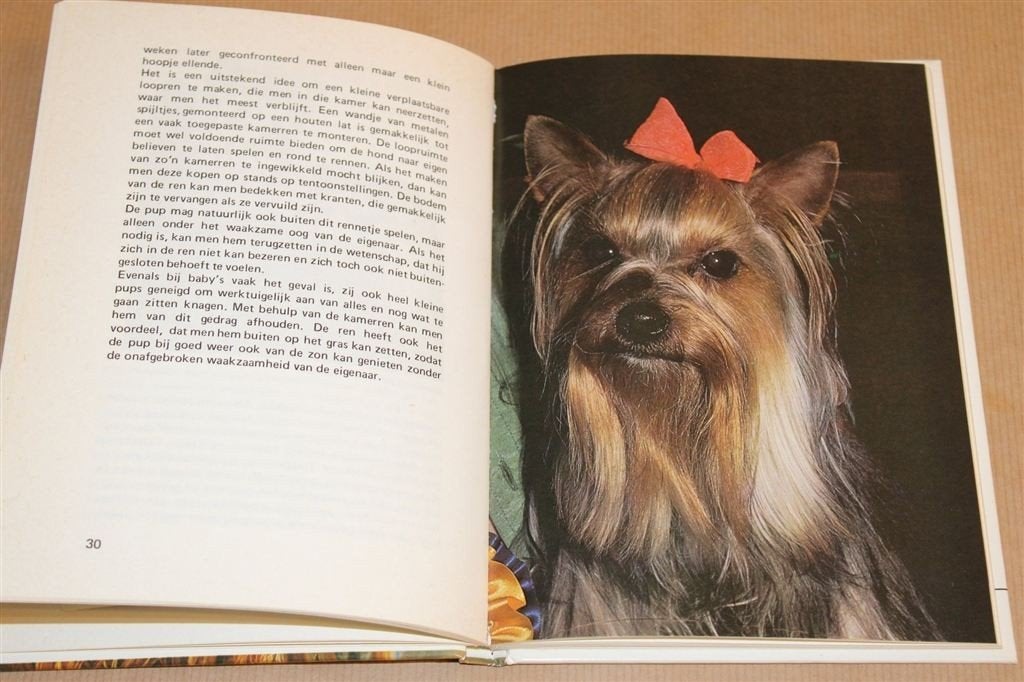 Yorkshire Terrier — Ras & Verzorging [1980], Ophalen of Verzenden, Gelezen, Vogels