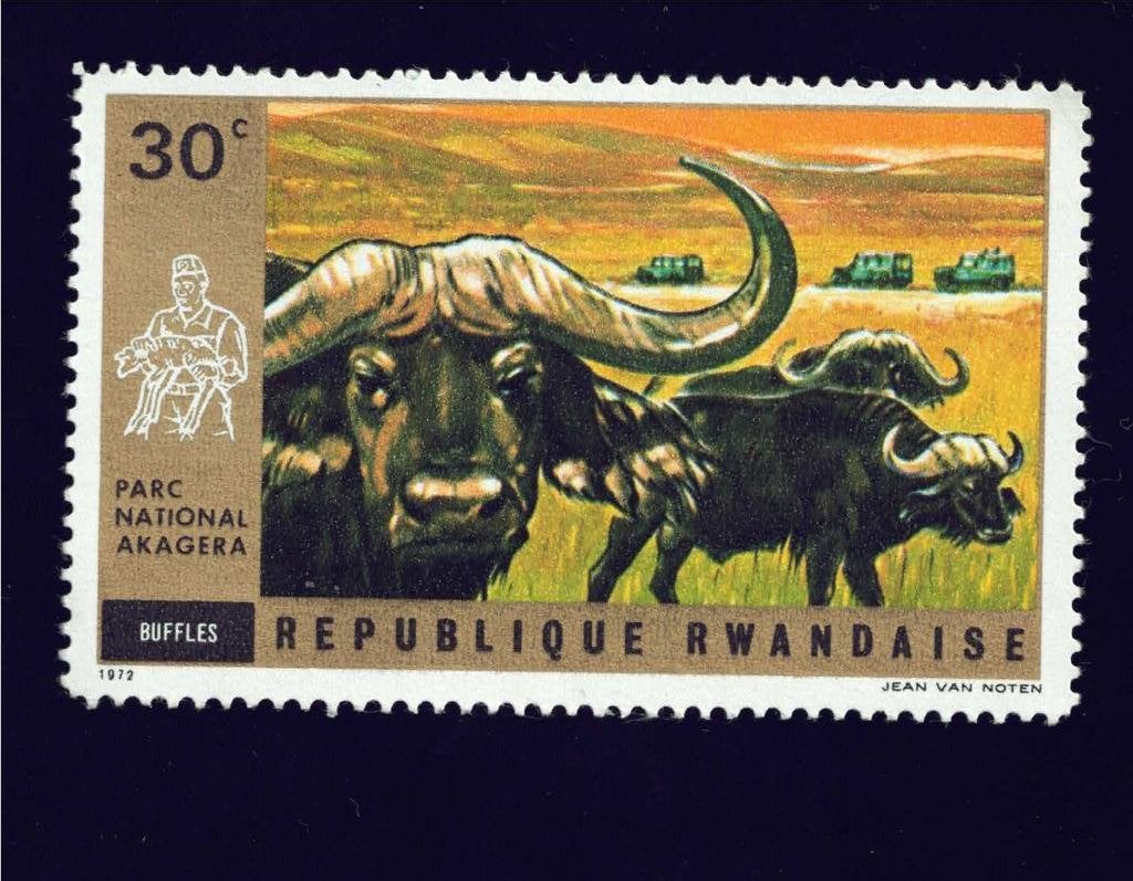 Fauna - Dieren - Buffel - Rwanda - 30c - (jr.'72) - p.fr., Ophalen of Verzenden, Postfris, Dier of Natuur