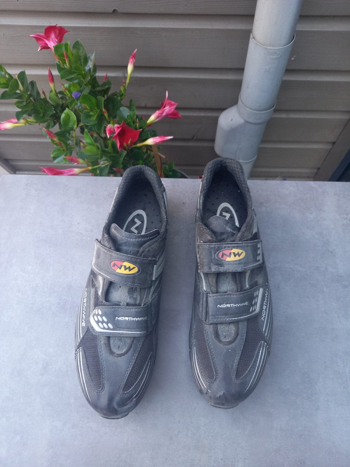 Wielrenners schoenen, Kleding | Heren, Schoenen, Zwart, Ophalen of Verzenden, Zo goed als nieuw, North wave