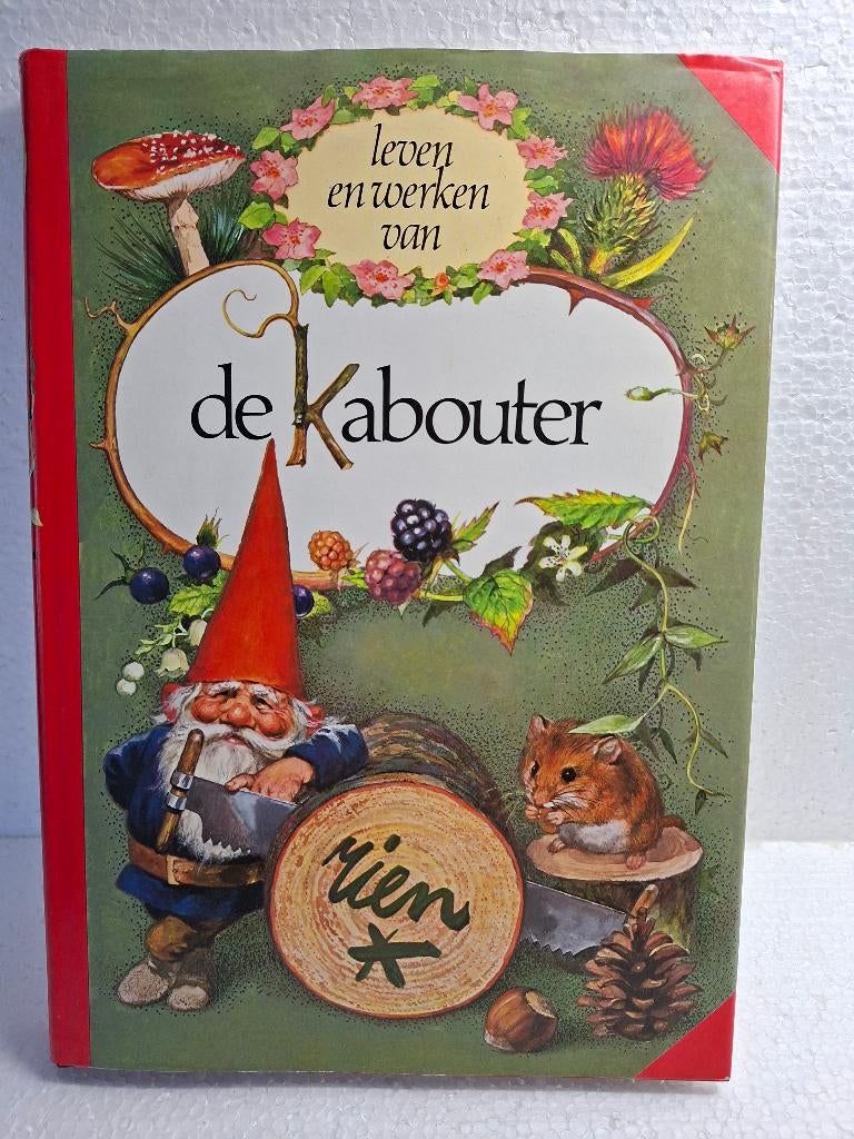 BOEK: LEVEN EN WERKEN VAN DE KABOUTER – RIEN POORTVLIET, Ophalen of Verzenden, Zo goed als nieuw, Rien Poortvliet en Wil Huygen