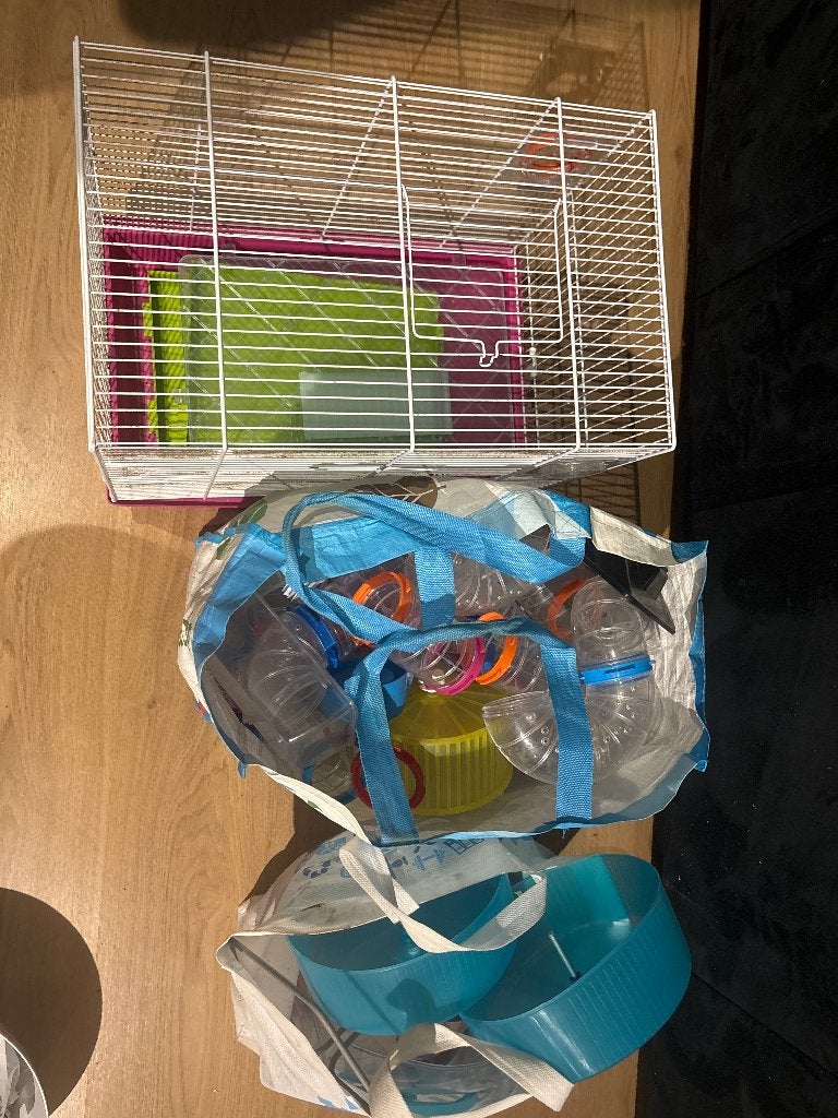 Hamster kooi en spullen, Kooi, Gebruikt, Minder dan 75 cm, Hamster