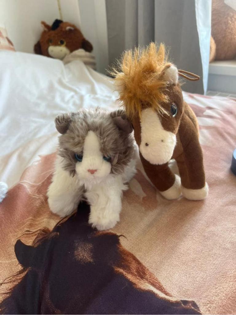 GRATIS KNUFFELS, Ophalen of Verzenden