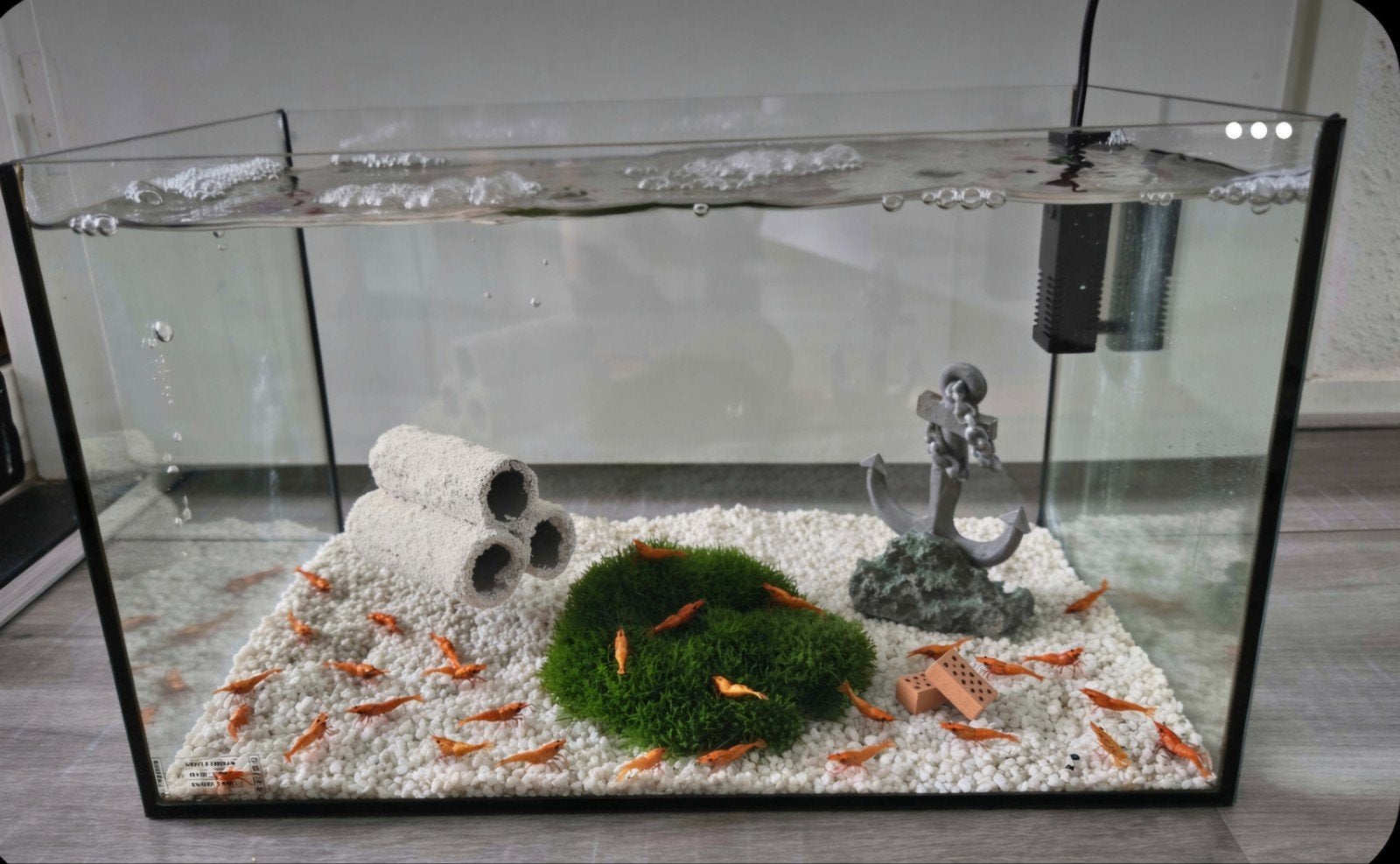 KWEEKGROEP ORANGE SAKURA GARNALEN INCL COMPLEET AQUARIUM, Dieren en Toebehoren, Vissen | Aquaria en Toebehoren, Ophalen, Zo goed als nieuw