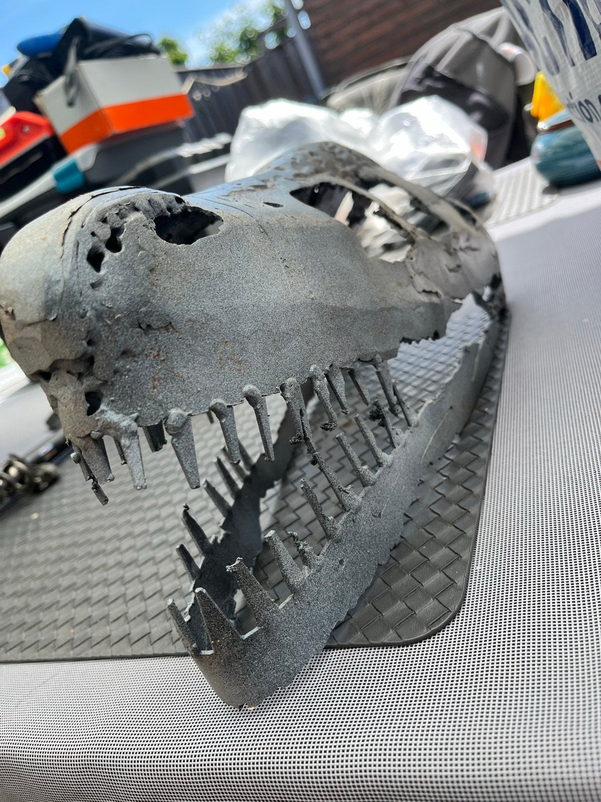 Dinosaurus schedel sculptuur - Raptor, Ophalen, Overige onderwerpen, Handgemaakt, 20 - 50 cm