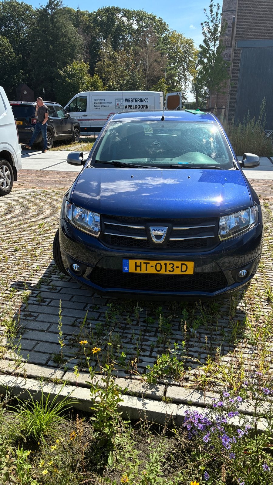 Dacia Sandero 1.2 16v 75, Auto's, Dacia, Voorwielaandrijving, Stof, 31 €/maand, Blauw
