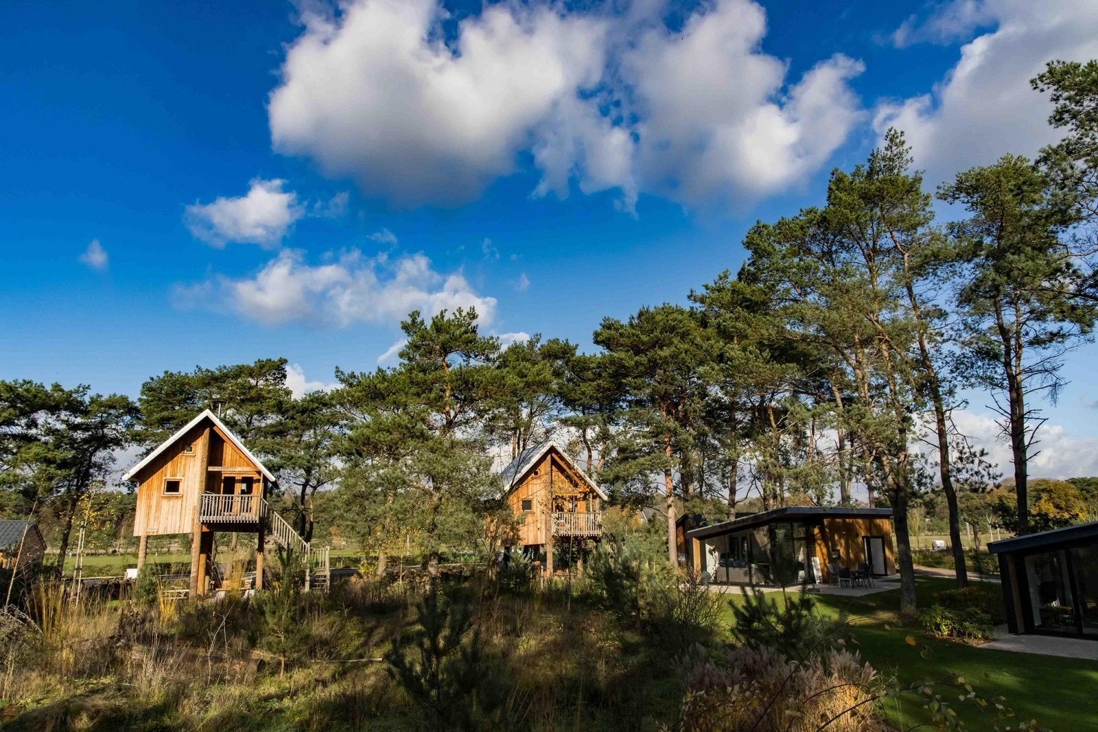 Overname verblijf Europarcs 13 t/m 15 november, Tickets en Kaartjes, Drie personen of meer, Overige soorten, Bungalowpark