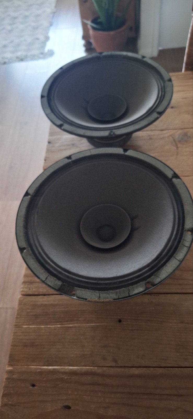 Philips ad 12100m8 breedband speakers, Ophalen, Philips, Gebruikt, 60 tot 120 watt