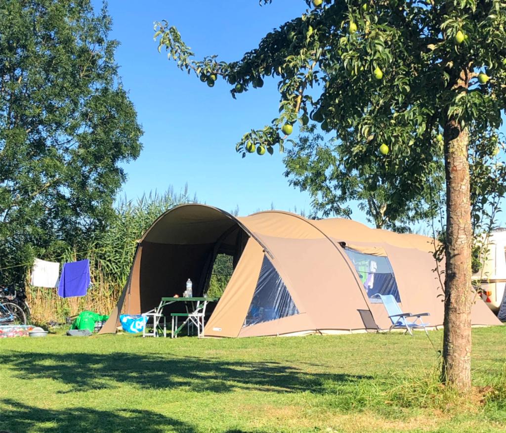 Moet weg!! - Falco Havik 4600 tunneltent, Ophalen, Gebruikt, Tot en met 6