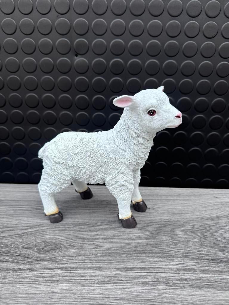 lammetje, Woondecoratie eindhoven, Nieuw, Ophalen of Verzenden, Woondecoratie eindhoven