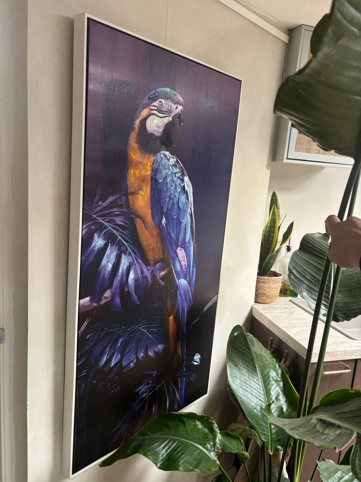 Papegaai Canvas in Baklijst - Kleurrijk Kunstwerk, Antiek en Kunst, Ophalen, Doek, Realistisch, Bijzondere lijst
