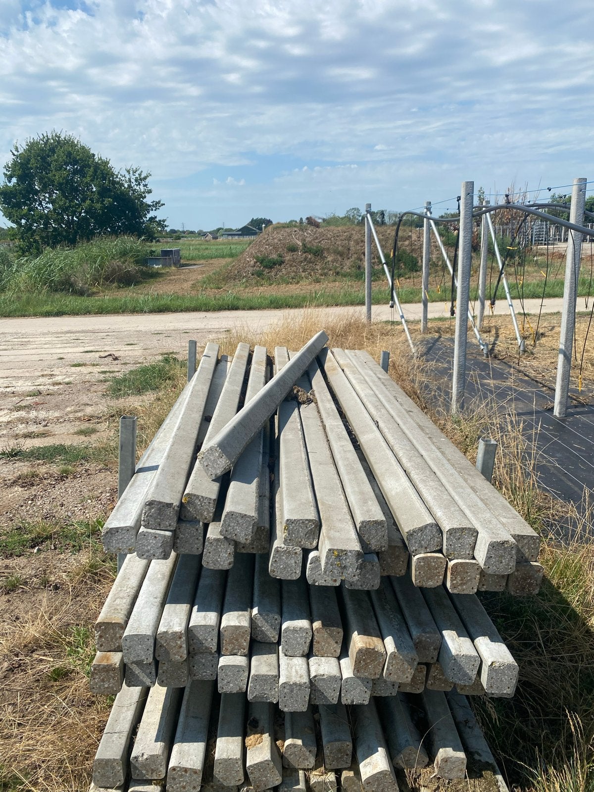 Betonnen palen, Ophalen of Verzenden, Gebruikt, 250 cm of meer, Palen