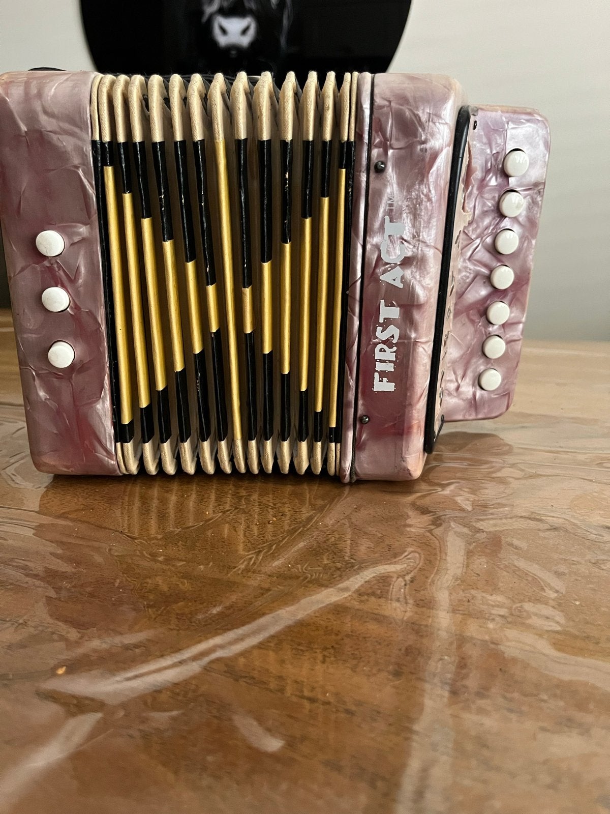 First Act Kinderaccordeon - Roze, Muziek en Instrumenten, Accordeons, Gebruikt, Toetsaccordeon, Overige formaten, Overige merken