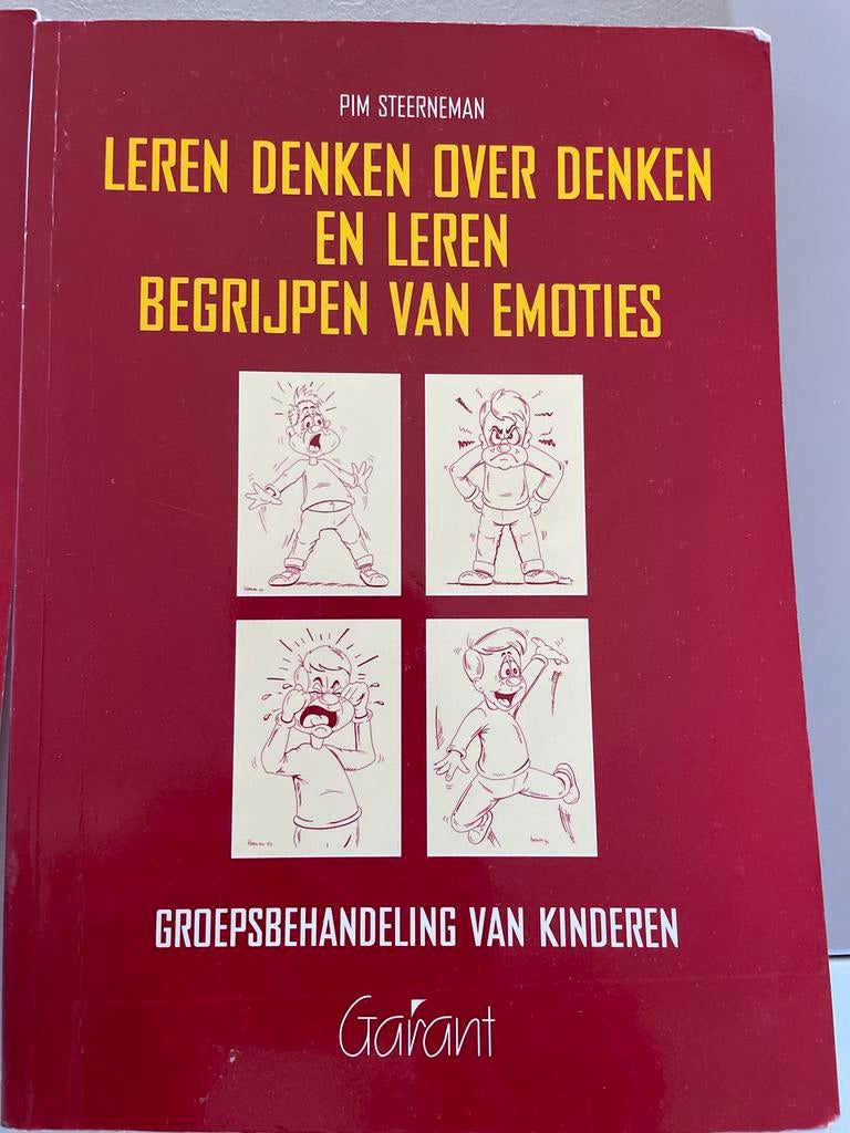 Leren Denken over Denken & TOM-test - Groepsbehandeling, Ophalen of Verzenden, Gamma, Zo goed als nieuw, HBO