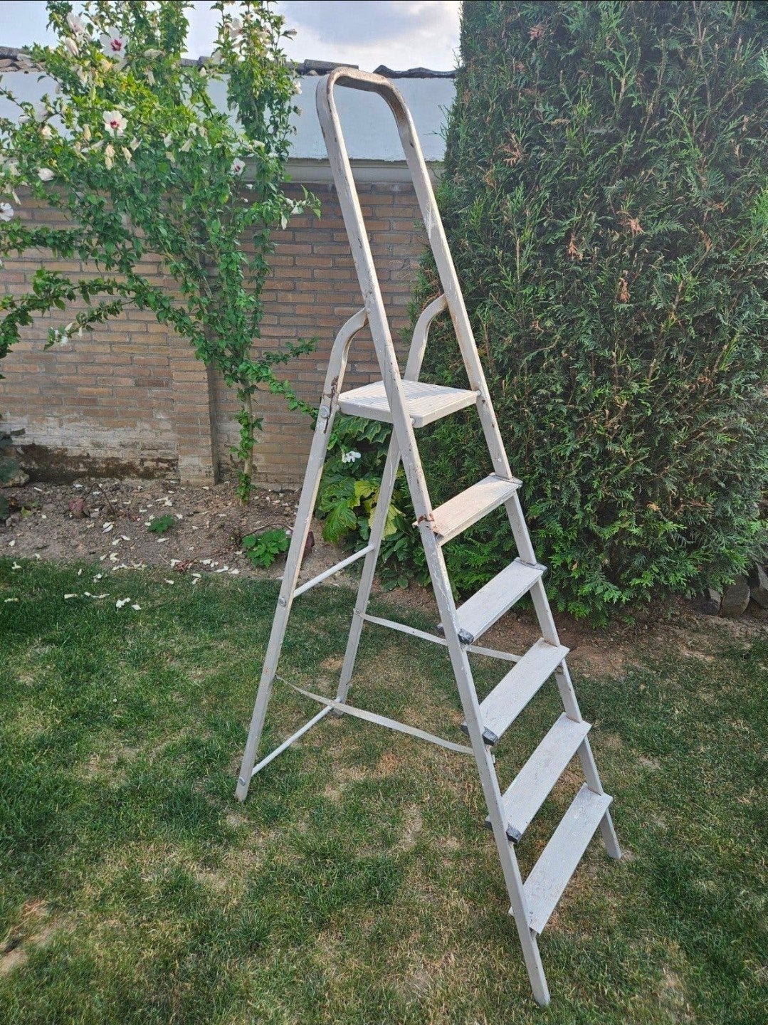 Stevige trapladder met 5 treden en plateau, Doe-het-zelf en Verbouw, Ladders en Trappen, Ophalen, Gebruikt, Trap, 2 tot 4 meter