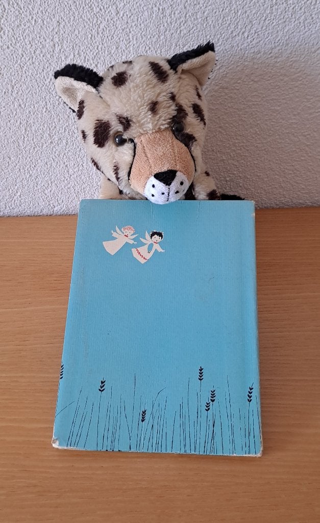 Een leuk boekje Japie een piepjong engeltje met een knuffel., Gelezen, Fictie algemeen, Verzenden, Sebastiaan.