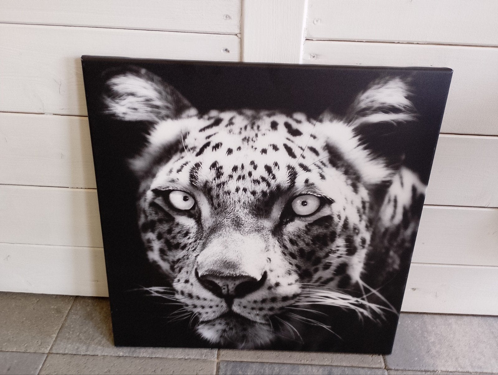 Canvas schilderij met panter print, Ophalen, 50 tot 75 cm, Zo goed als nieuw, Schilderij