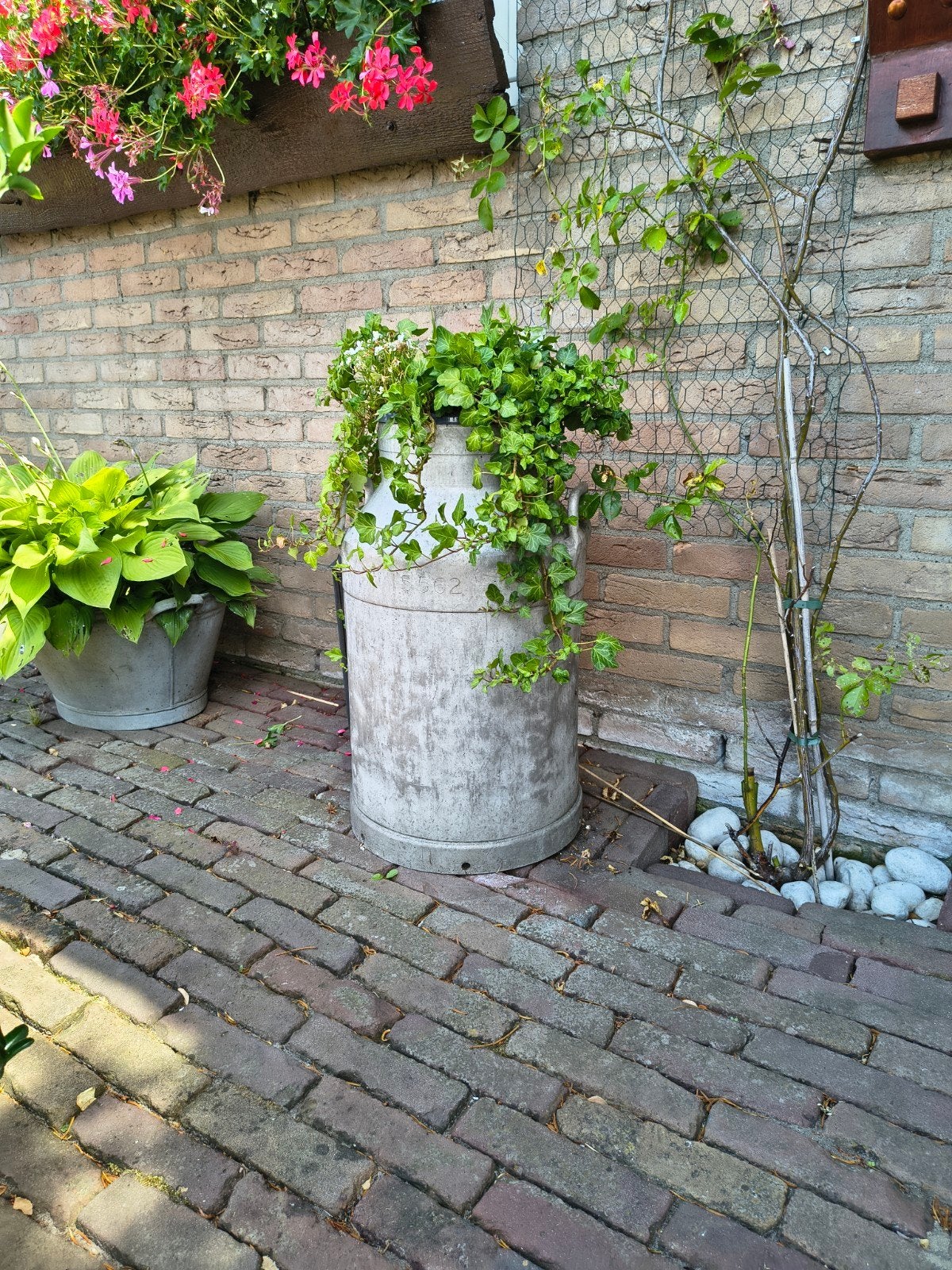 Diverse tuinbeelden: gans, haan, egels, duiven en denneappel, Tuin en Terras, Tuinbeelden, Ophalen of Verzenden, Gebruikt, Steen