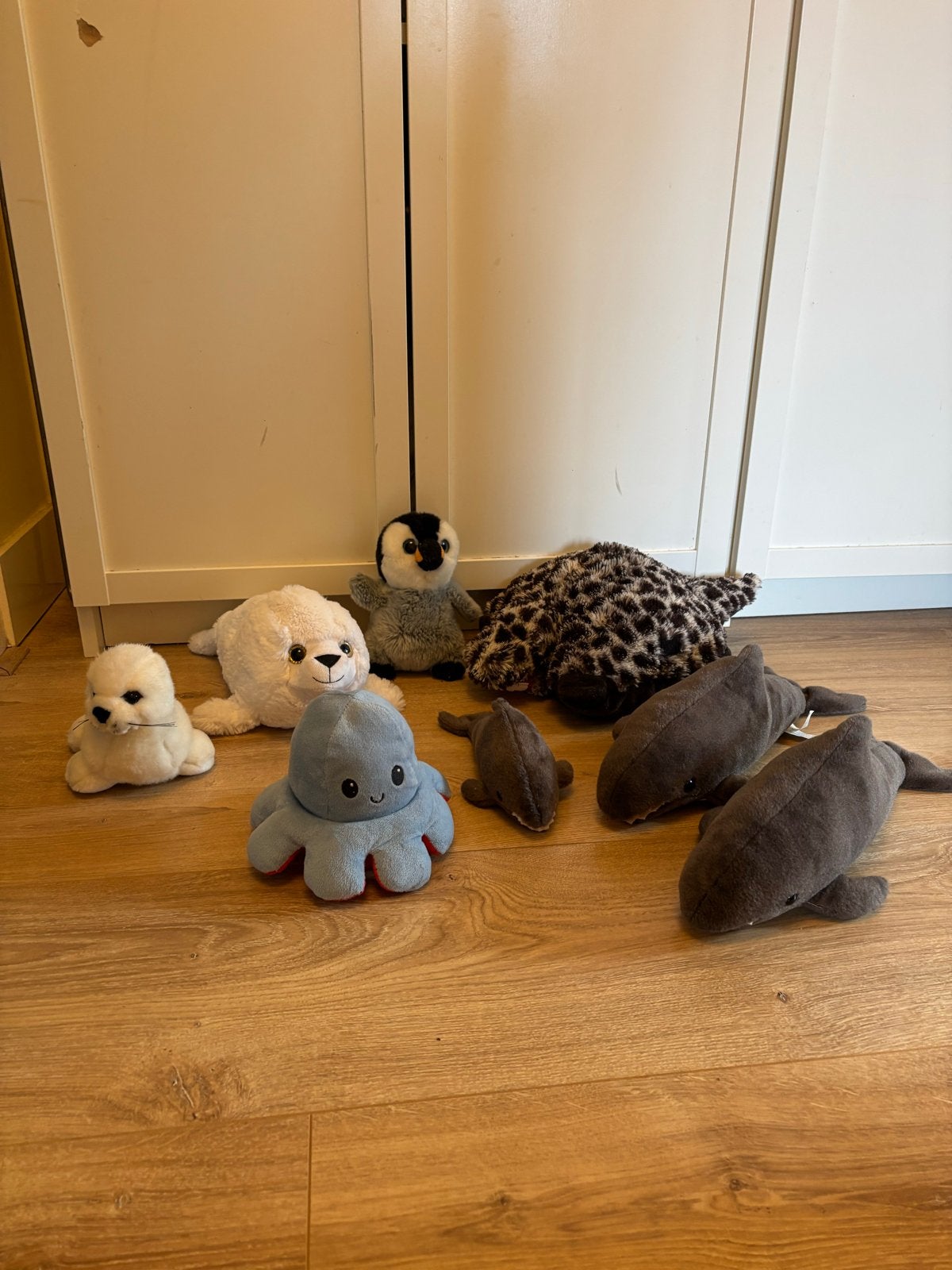 Leuke knuffelverzameling, Ophalen, Gebruikt, Overige typen, Middelgroot (20 tot 80 cm)