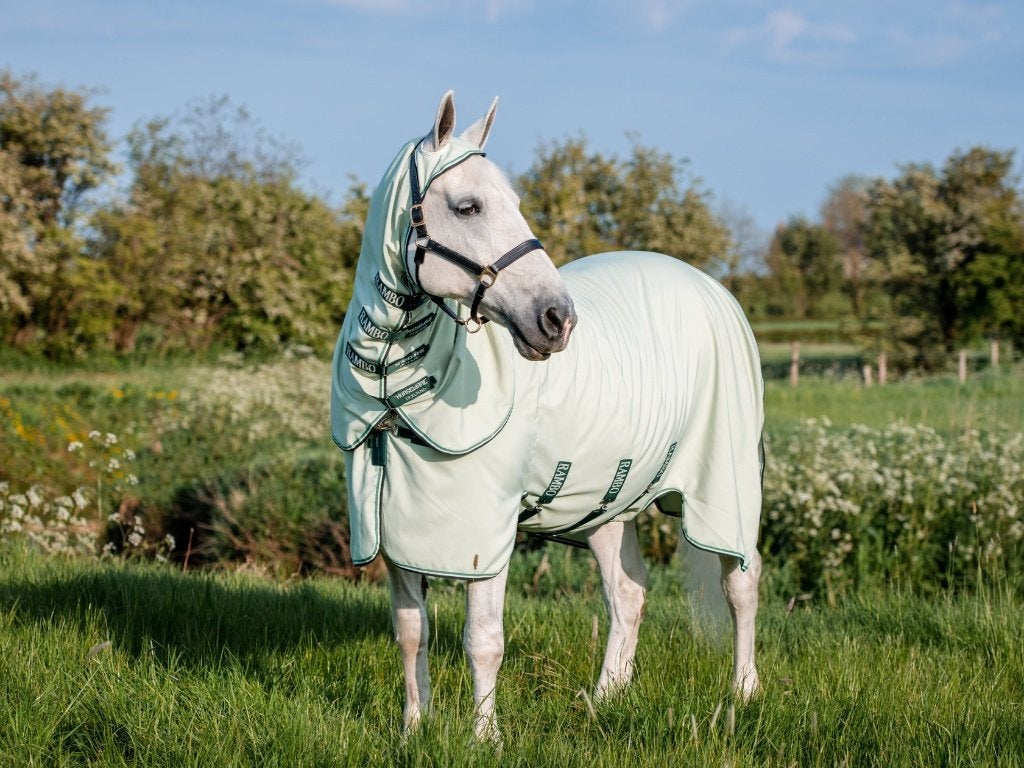 Rambo Sweet Itch Hoody XL,maat 198 (6'6) en 213 (7'0), Dieren en Toebehoren, V-sluiting, Nieuw, Ophalen of Verzenden, Eczeemdeken