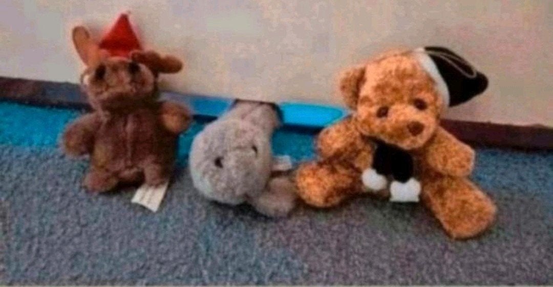 Set van 3 schattige knuffels: hond, zeehond, beer, Verzamelen, Ophalen of Verzenden, Nieuw, Overige typen