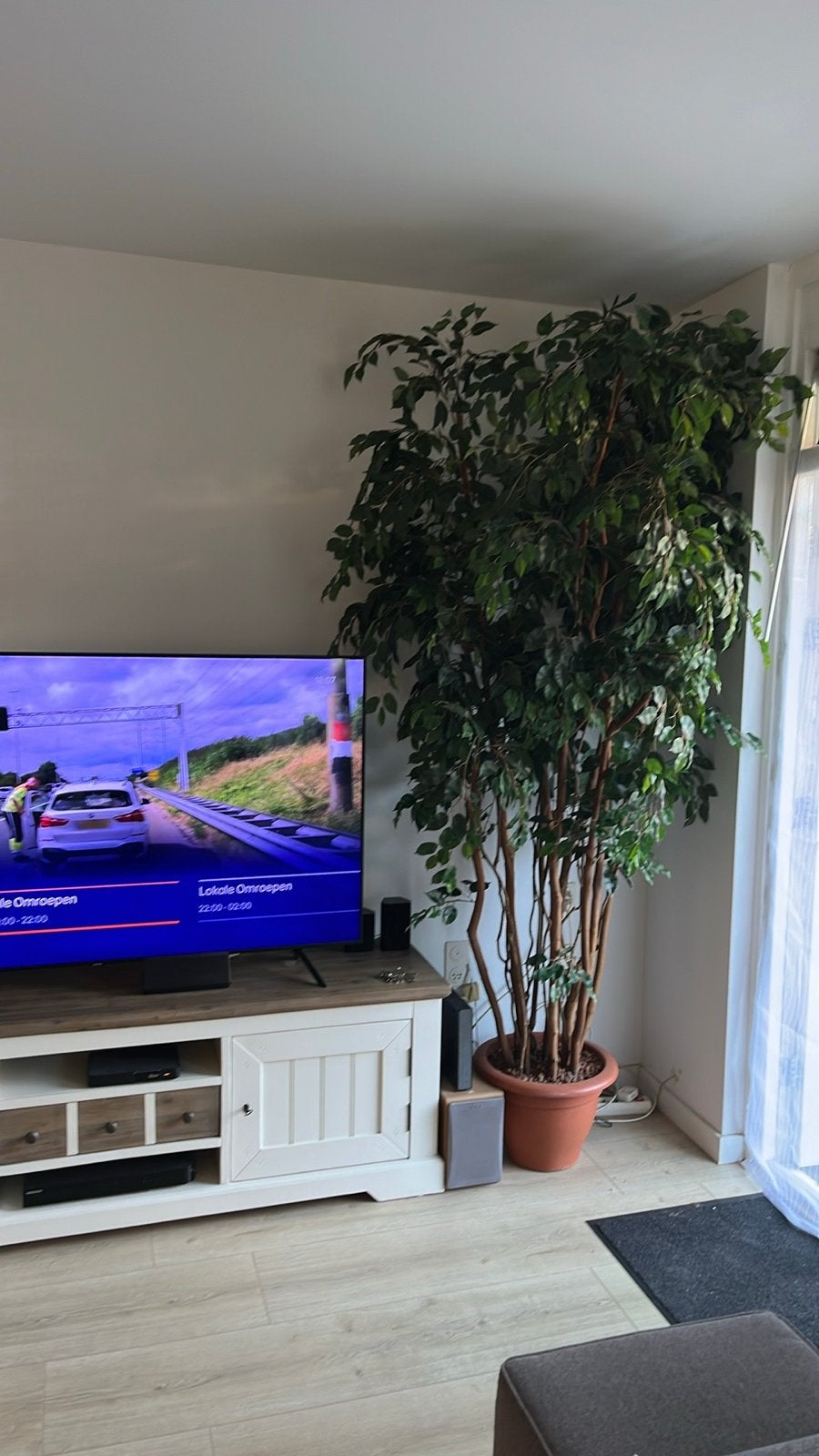 Grote Ficus kunstplant - 210 cm hoog, Binnen, Kunstplant, Ophalen of Verzenden, Kunststof