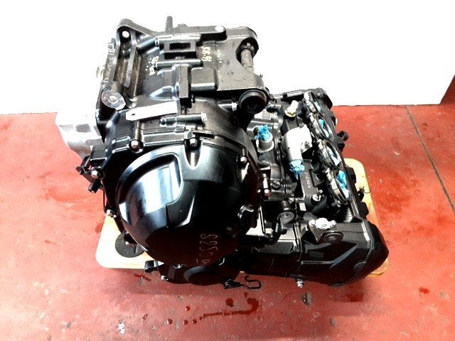 Z1000SX 2020 - 2023 Kawasaki Motorblok D1-60551