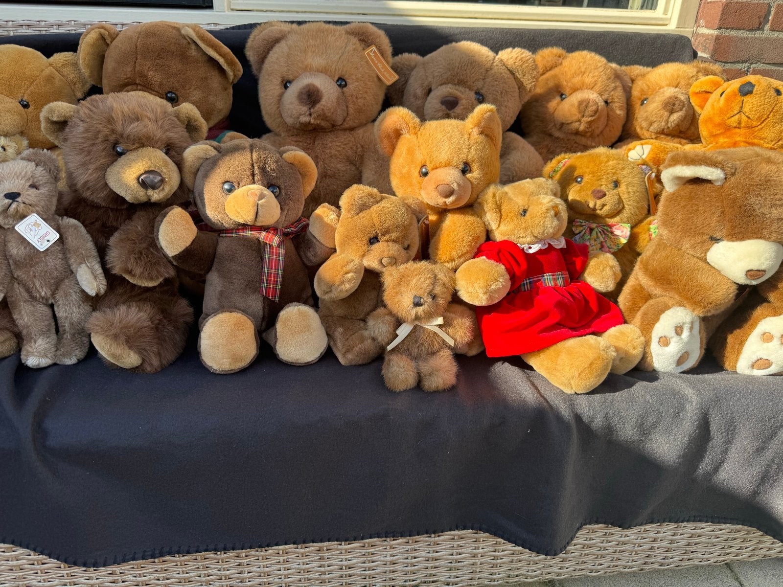 Grote collectie teddyberen - Diverse maten en merken, Gebruikt, Beer, Ophalen of Verzenden, Middelgroot (20 tot 80 cm)