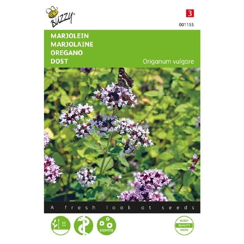 Buzzy Seeds Marjolein - Oregano kruidenzaden - nieuw, Ophalen of Verzenden, Voorjaar, Volle zon, Zaad