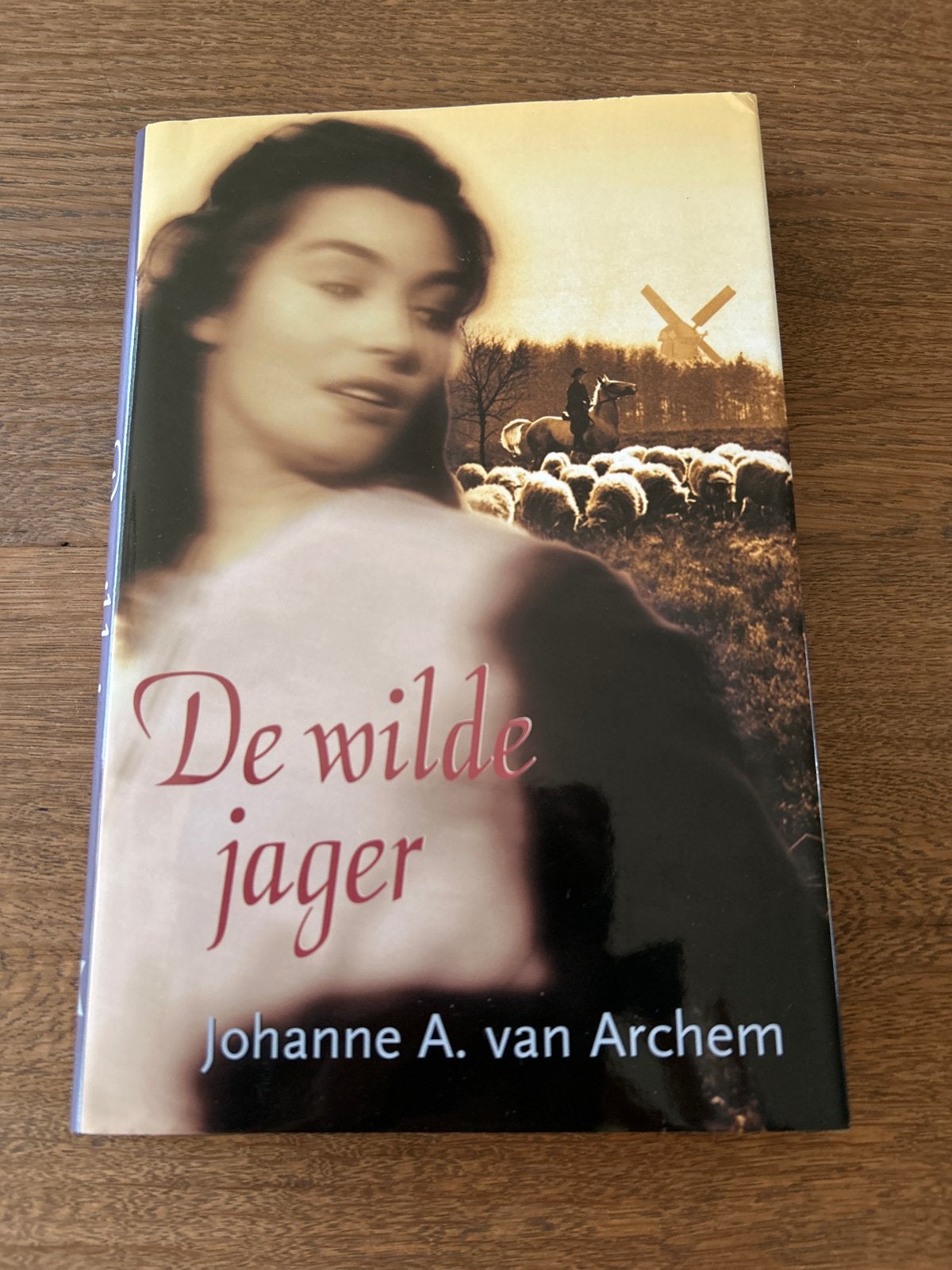 De Wilde Jager - Johanne A. van Archem, Boeken, Ophalen of Verzenden, Gelezen, Nederland