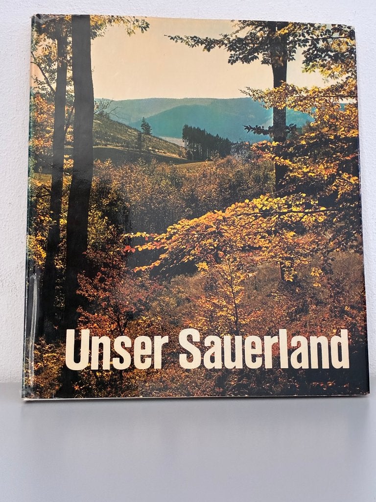 C.F. Hagemann: Unser Sauerland, Ophalen of Verzenden, Gelezen, C.F. Hagemann