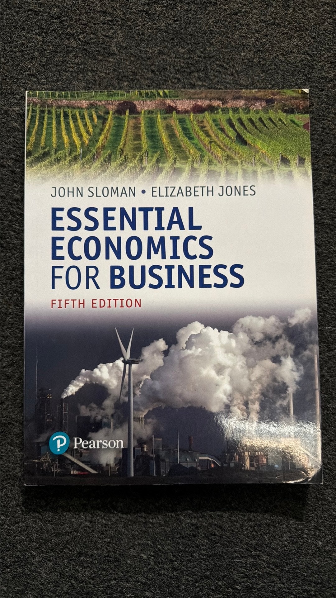 Essential Economics for Business, Ophalen of Verzenden, Beta, Nieuw, HBO