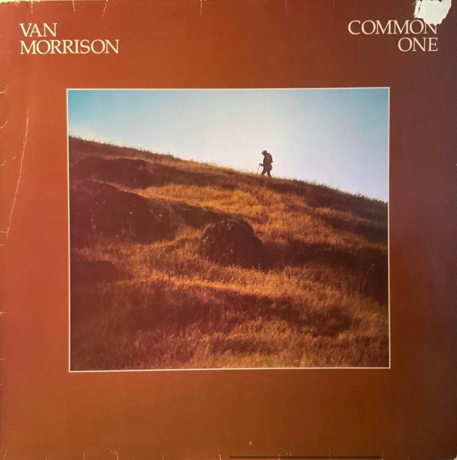 Vinyl Van Morrison - Common One, Verzenden, Gebruikt