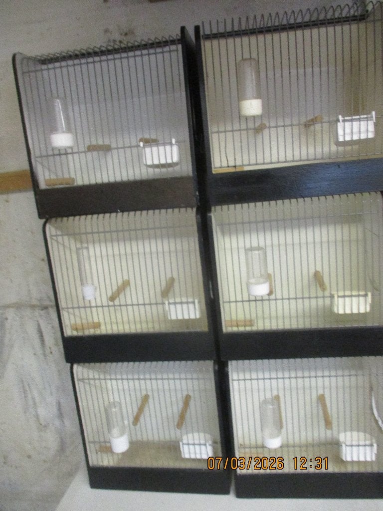 t,t, kooien      (hout), Ophalen, Zo goed als nieuw, Hout, Vogelkooi