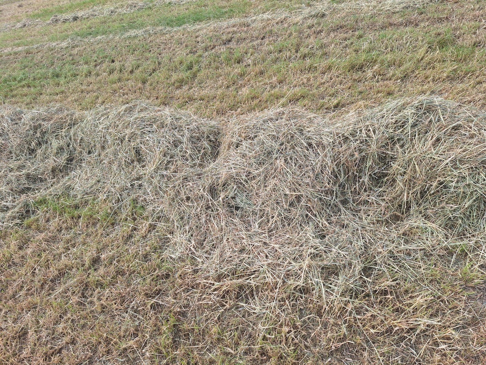 kleine hooibalen, Dieren en Toebehoren, Dierenvoeding, Ophalen of Verzenden