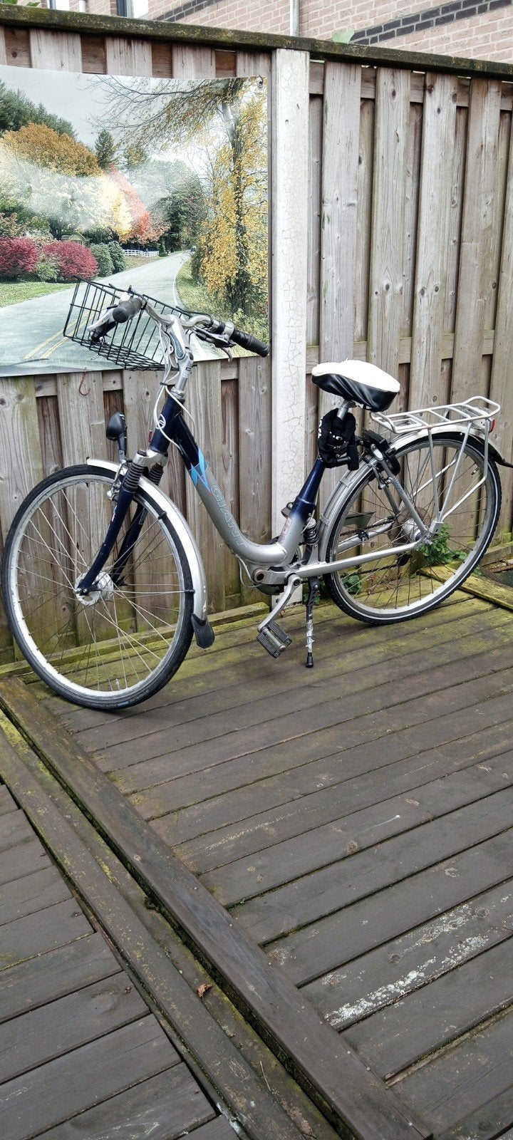 Dames station - fiets Giant Trooper lage instap, Ophalen, Gebruikt, Giant, Versnellingen