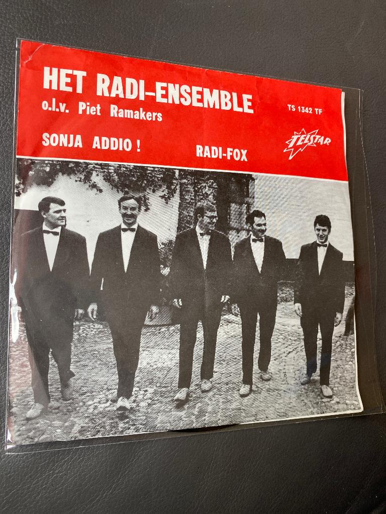 Het Radi-Ensemble : Sonja Addio ( single vinyl), Cd's en Dvd's, Vinyl Singles, Ophalen of Verzenden, Gebruikt, Nederlandstalig